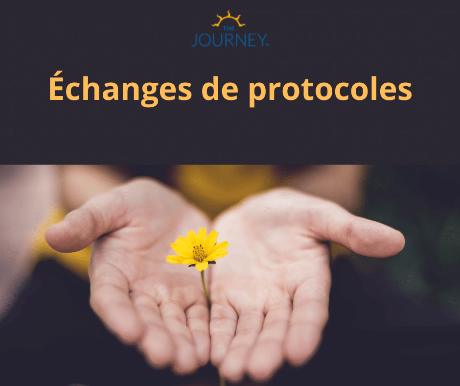 Echange de protocoles-the-journey-france